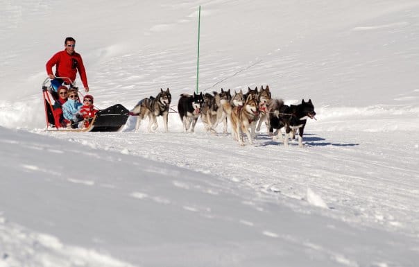 Alpi Traineau Balade en chien de traineau Orcières Merlette 1850