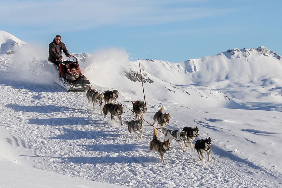 Alpi Traineau Balade en chien de traineau Orcières Merlette 1850