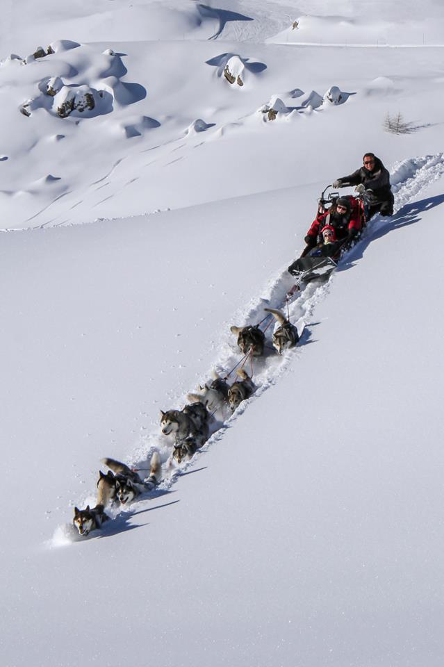 Alpi Traineau Balade en chien de traineau Orcières Merlette 1850