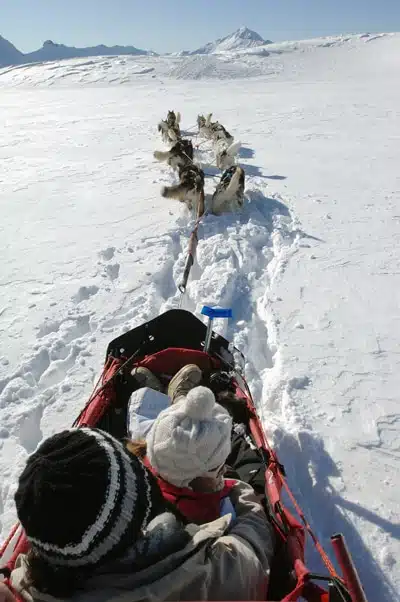 Alpi Traineau Balade en chien de traineau Orcières Merlette 1850