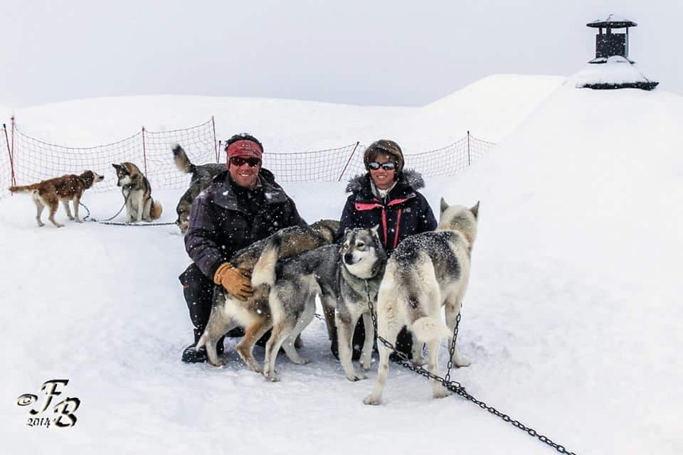 Alpi Traineau Balade en chien de traineau Orcières Merlette 1850