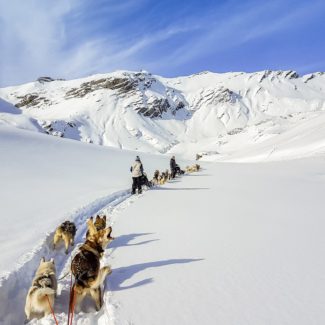 Conduite d'attelage Alpi Traineau Orcieres Merlette 1850 Champsaur Hautes Alpes Alpi Traineau Chiens de traineaux