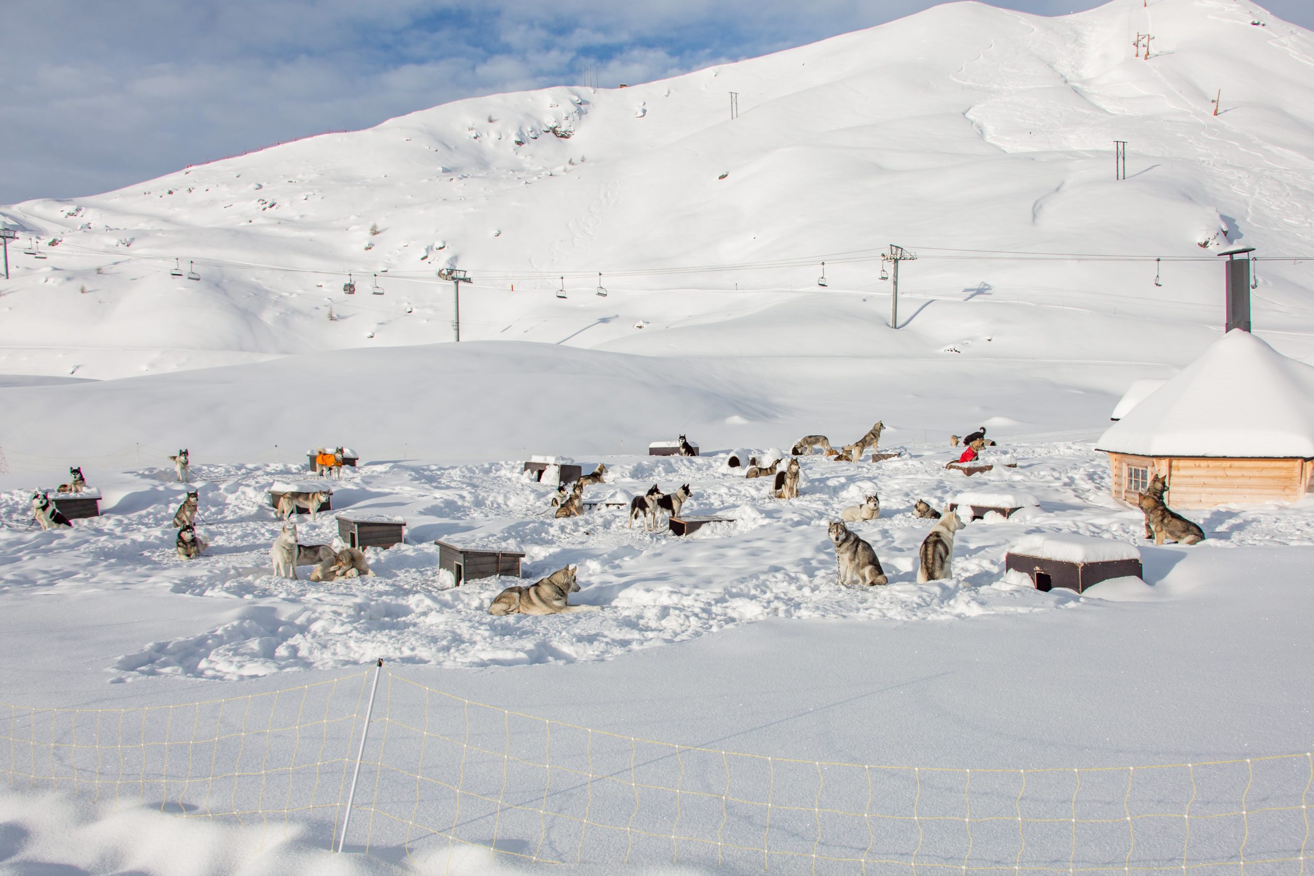 Village de Williwaw Alpi Traineau Orcieres Merlette 1850 Champsaur Hautes Alpes Alpi Traineau Chiens de traineaux