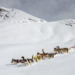 Chien de traineau Alpi Traineau Orcieres Merlette 1850 Champsaur Hautes Alpes Alpi Traineau Chiens de traineaux