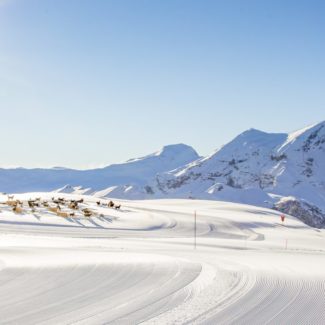 Village Williwaw Alpi Traineau Orcieres Merlette 1850 Champsaur Hautes Alpes Alpi Traineau Chiens de traineaux
