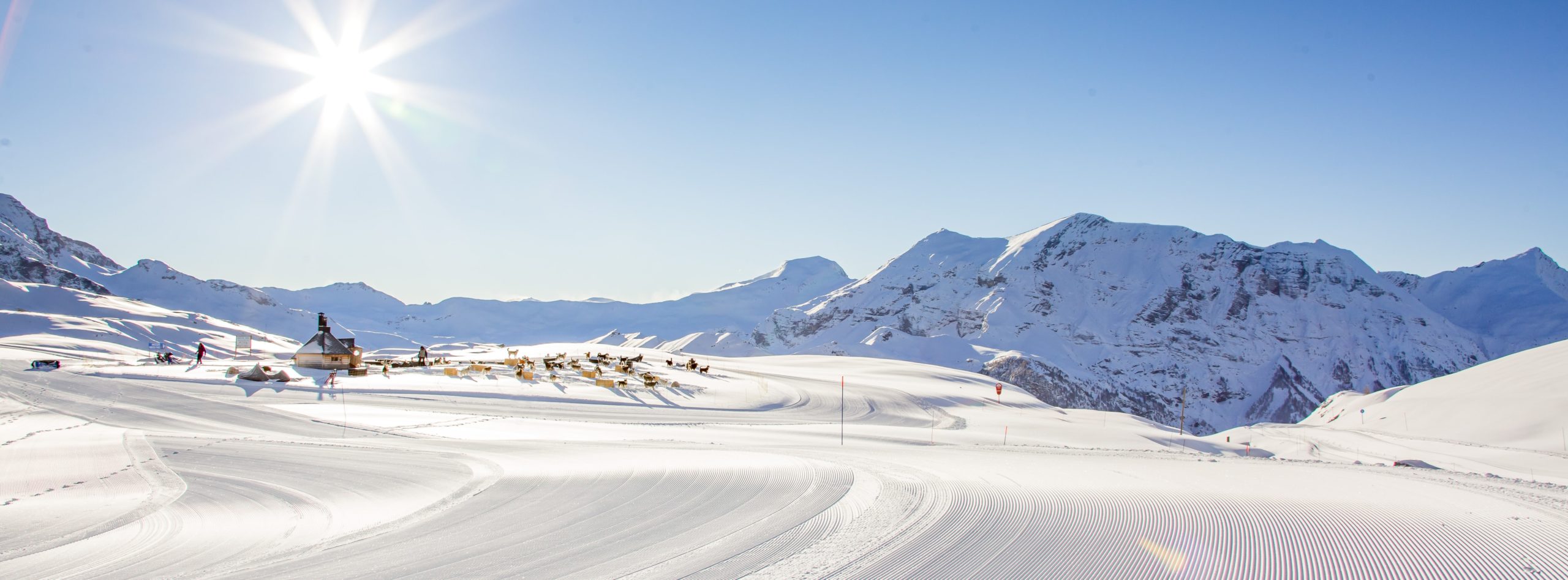 Village Williwaw Alpi Traineau Orcieres Merlette 1850 Champsaur Hautes Alpes Alpi Traineau Chiens de traineaux