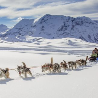 Randonnée aventure Alpi Traineau Orcieres Merlette 1850 Champsaur Hautes Alpes Alpi Traineau Chiens de traineaux