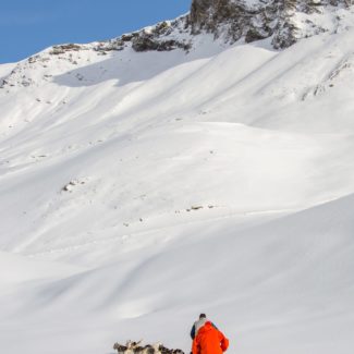 Plateau de Rocherousse Alpi Traineau Orcieres Merlette 1850 Champsaur Hautes Alpes Alpi Traineau Chiens de traineaux