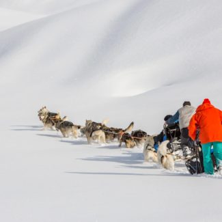 Conduite d'attelage Alpi Traineau Orcieres Merlette 1850 Champsaur Hautes Alpes Alpi Traineau Chiens de traineaux