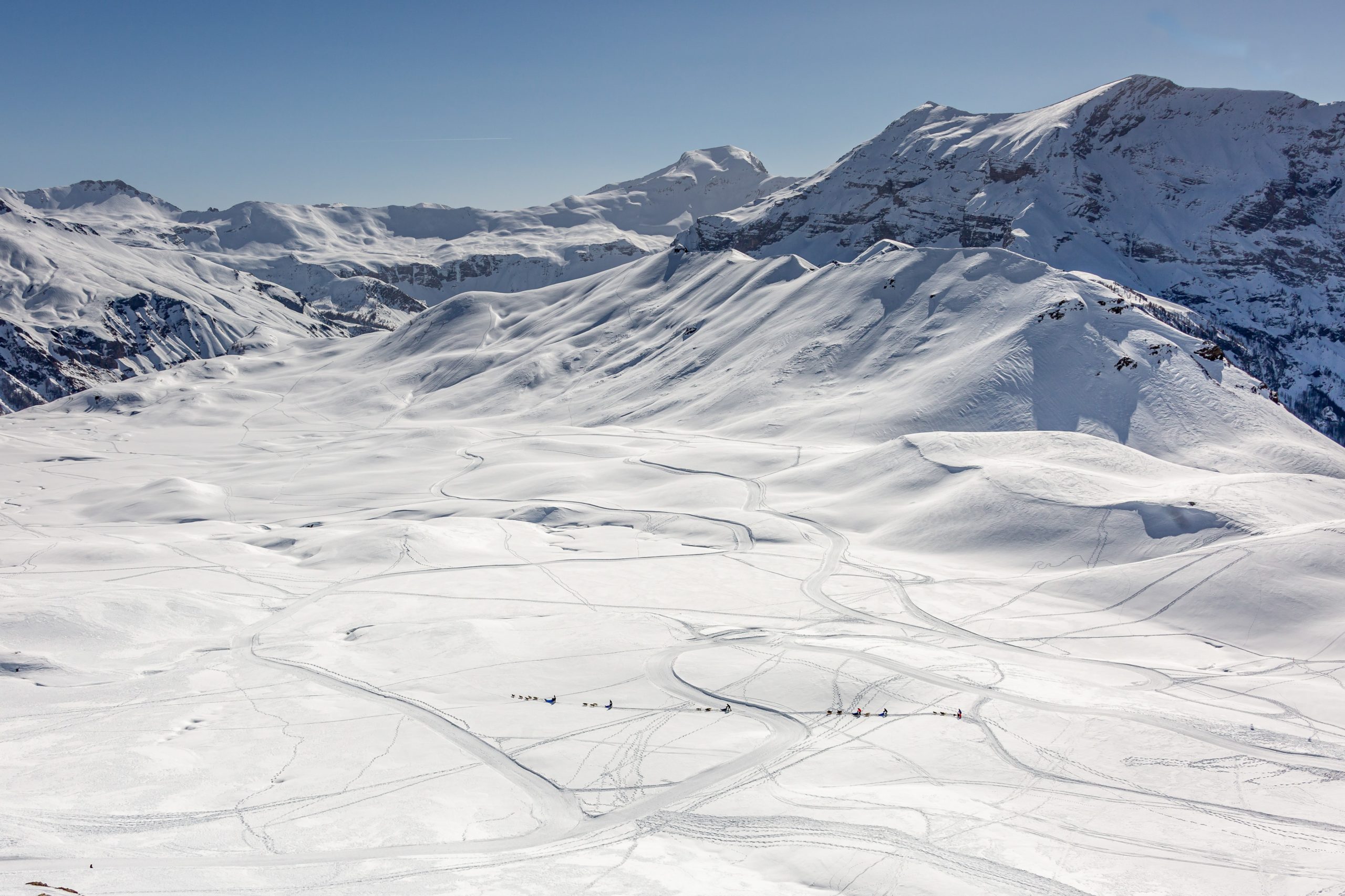 Plateau de Rocherousse Alpi Traineau Orcieres Merlette 1850 Champsaur Hautes Alpes Alpi Traineau Chiens de traineaux