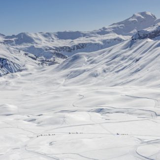 Plateau de Rocherousse Alpi Traineau Orcieres Merlette 1850 Champsaur Hautes Alpes Alpi Traineau Chiens de traineaux