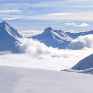 Plateau de Rocherousse Alpi Traineau Orcieres Merlette 1850 Champsaur Hautes Alpes Alpi Traineau Chiens de traineaux