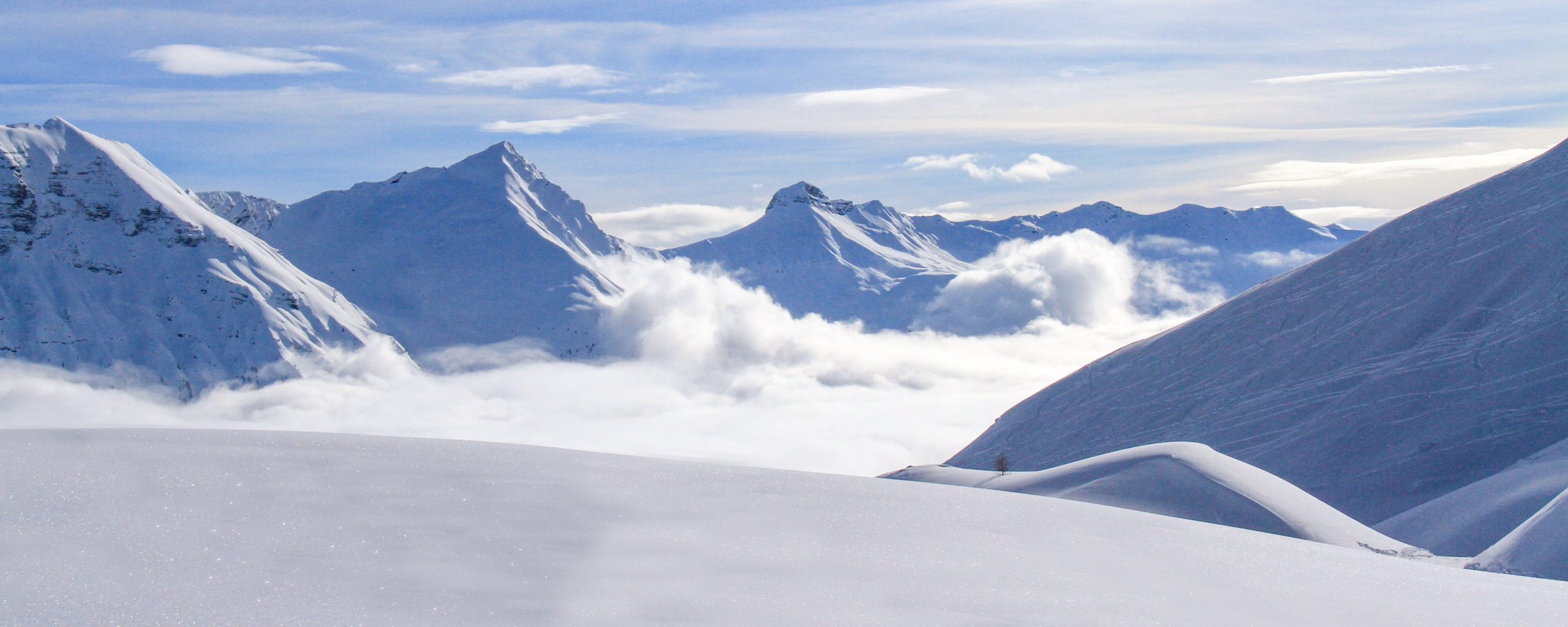 Plateau de Rocherousse Alpi Traineau Orcieres Merlette 1850 Champsaur Hautes Alpes Alpi Traineau Chiens de traineaux