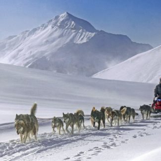 Randonnée aventure Alpi Traineau Orcieres Merlette 1850 Champsaur Hautes Alpes Alpi Traineau Chiens de traineaux