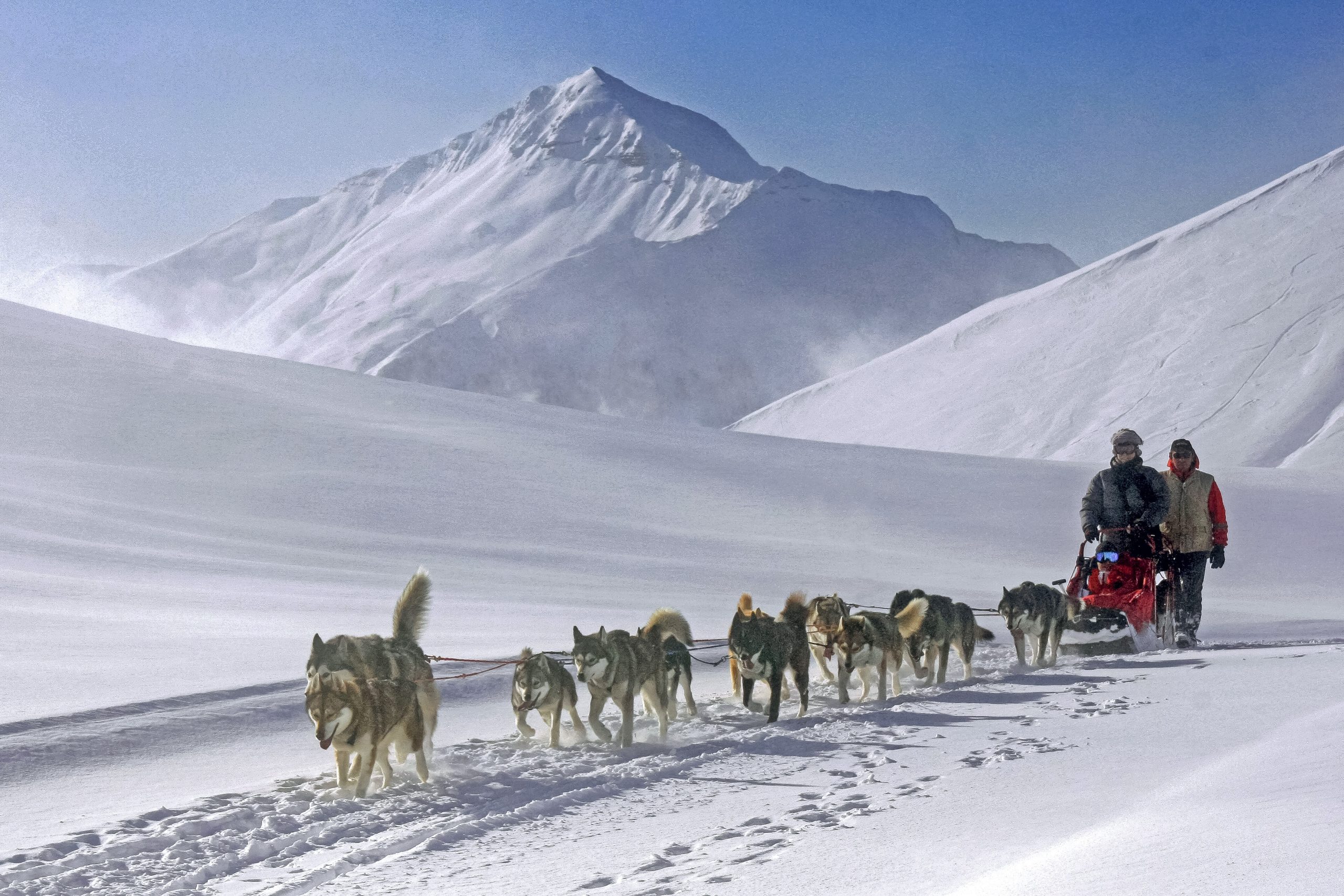 Randonnée aventure Alpi Traineau Orcieres Merlette 1850 Champsaur Hautes Alpes Alpi Traineau Chiens de traineaux