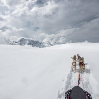 Conduite d'attelage Alpi Traineau Orcieres Merlette 1850 Champsaur Hautes Alpes Alpi Traineau Chiens de traineaux