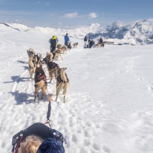 Conduite d'attelage Alpi Traineau Orcieres Merlette 1850 Champsaur Hautes Alpes Alpi Traineau Chiens de traineaux