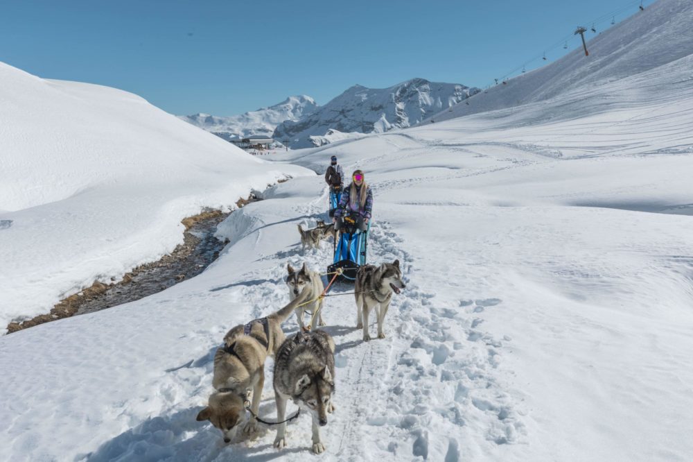 Conduite d'attelage Orcieres Merlette 1850 Champsaur Hautes Alpes Alpi Traineau Chiens de traineaux