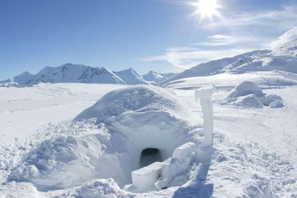 Nuit en Igloo Orcières Alpi Traineau Balade en chien de traineau Orcières Merlette 1850