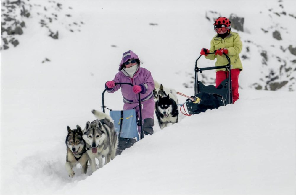 Stage Enfants Orcieres Merlette 1850 Champsaur Hautes Alpes Alpi Traineau Chiens de traineaux