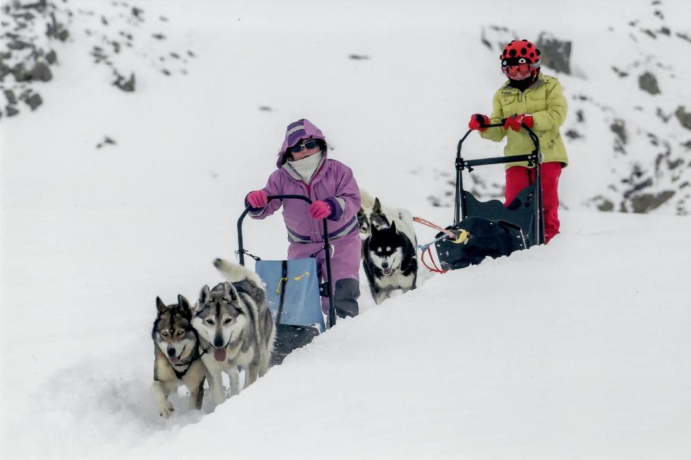 Stage Enfants Orcieres Merlette 1850 Champsaur Hautes Alpes Alpi Traineau Chiens de traineaux